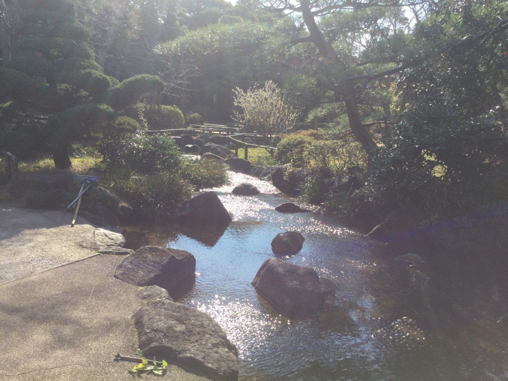 20190316_235135122_iOS