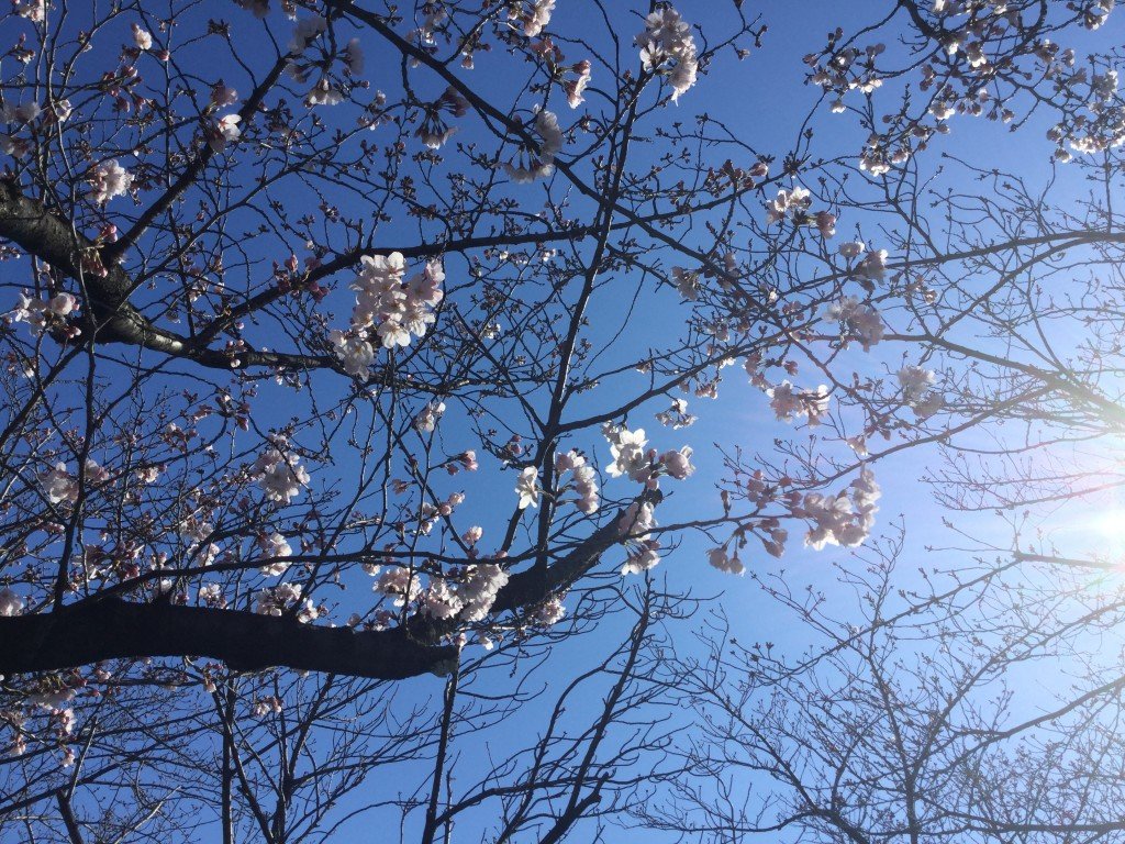 33BD91D0-5DD0-4E78-A842-509D0A6D949B