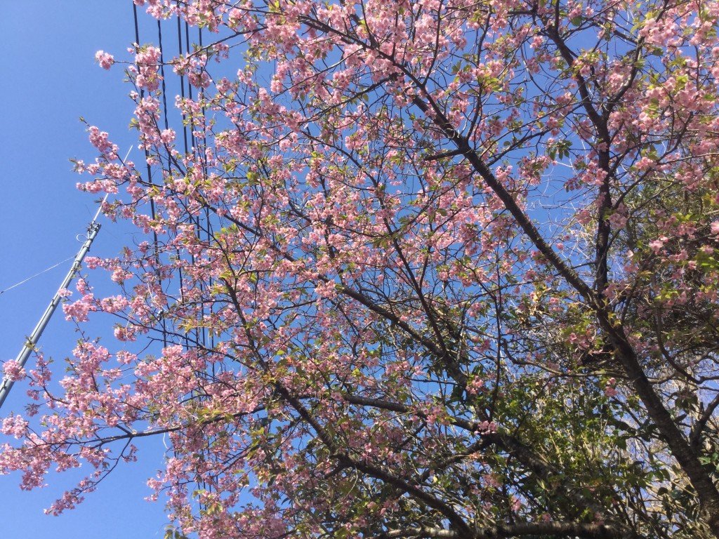 A9526B27-505B-4AF9-90D1-98D880656D8B