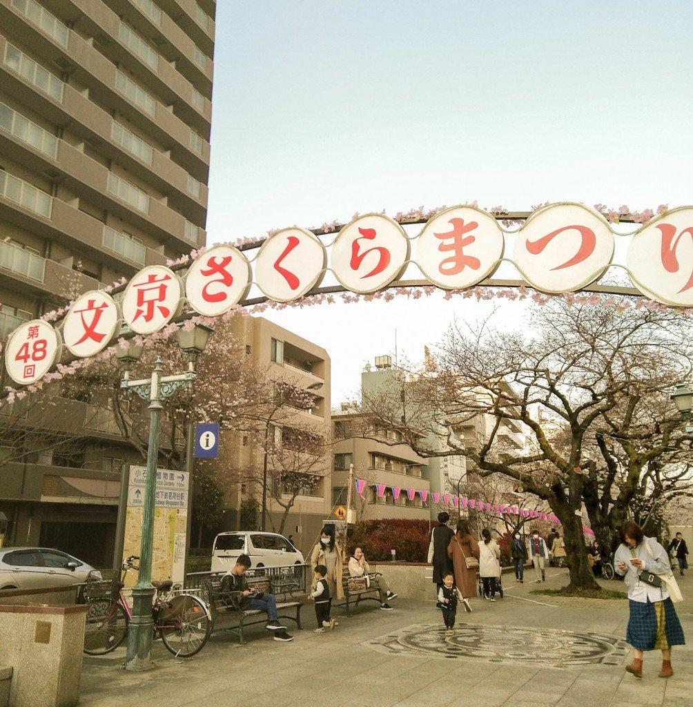 mikki-sakura-matsuri1