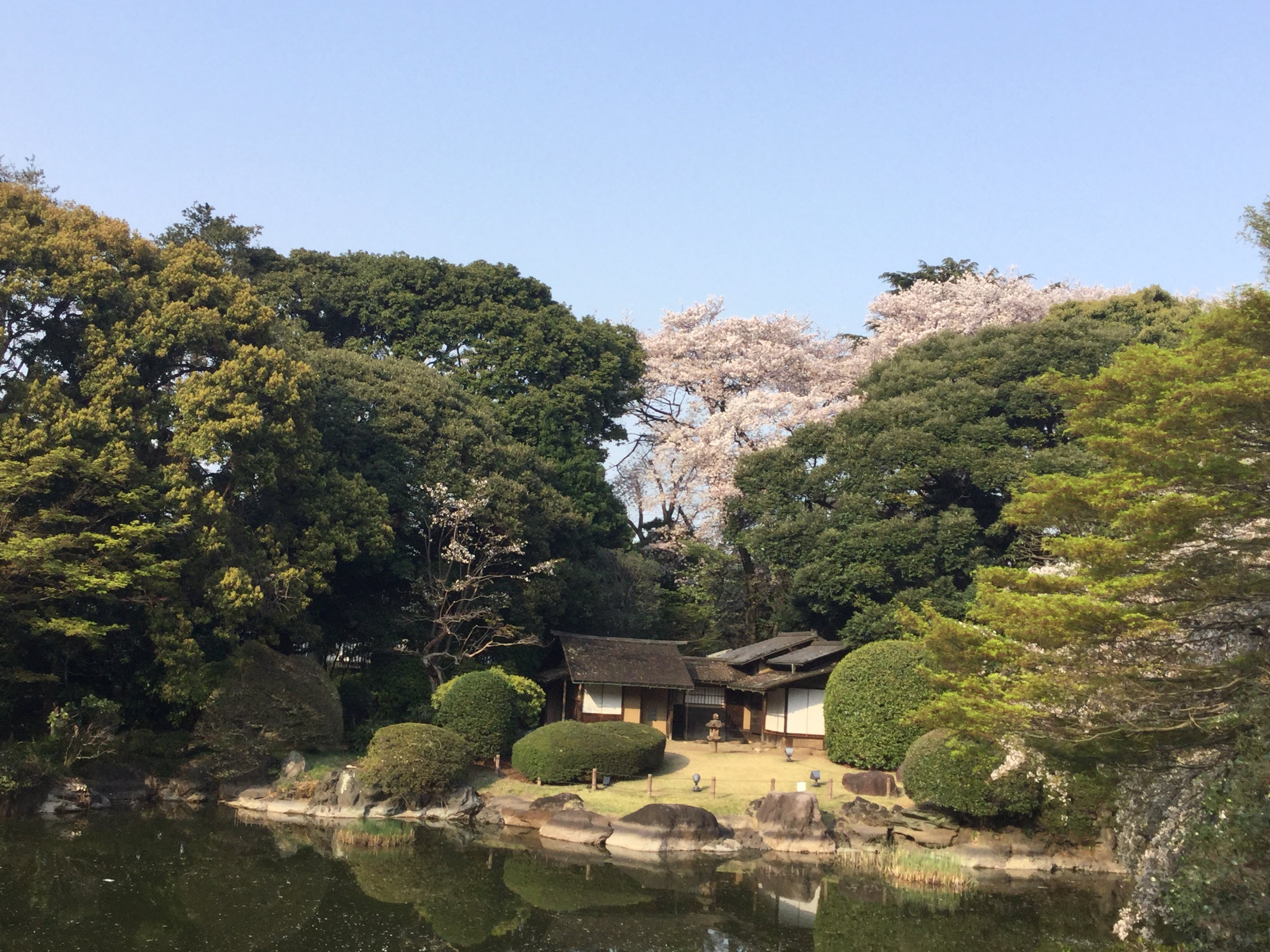 20190407_065058185_iOS