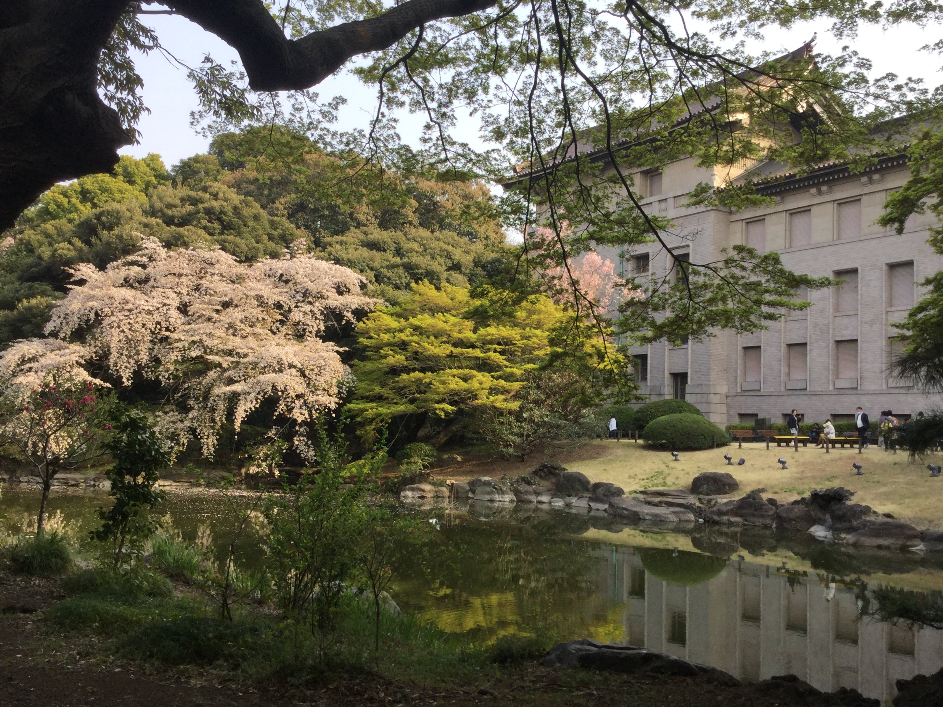 20190407_065917206_iOS