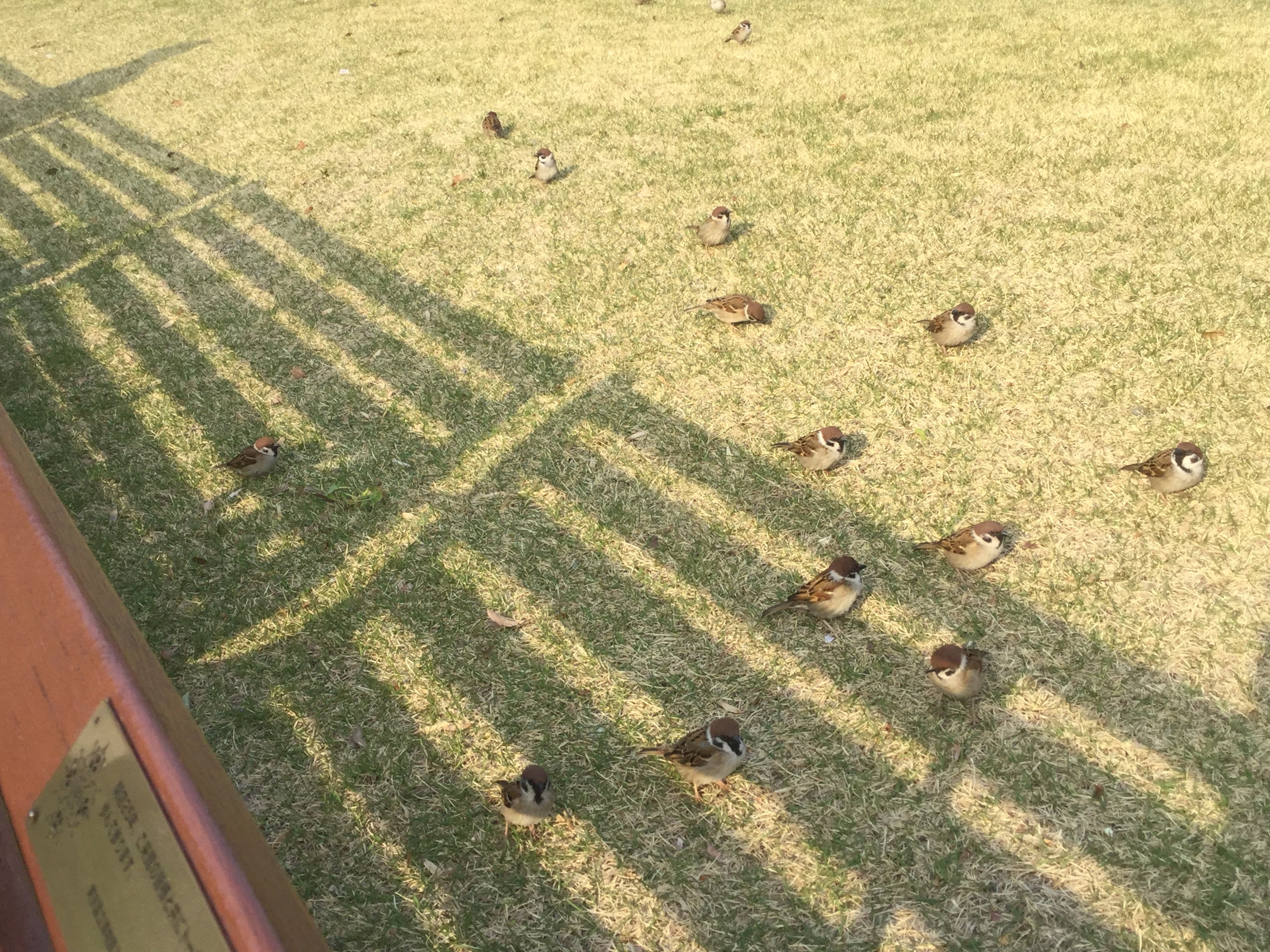 20190407_071323312_iOS