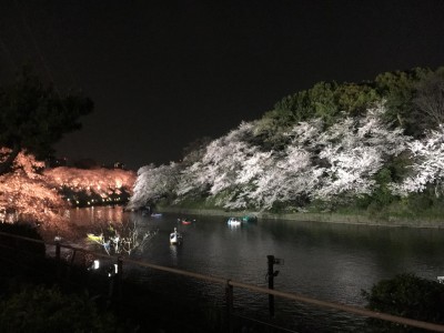 56466316_1989441654498829_861084820510343168_o