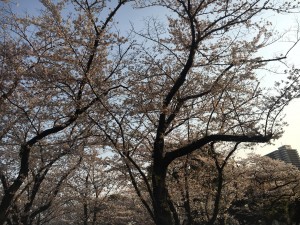 56595457_1989441531165508_2393813182205394944_o