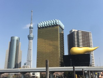 56744621_1989441014498893_7675126035628687360_o