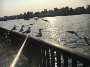 56790794_1989441444498850_8392891156135936000_o