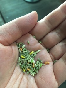 56848022_1989442657832062_7089797249600847872_o