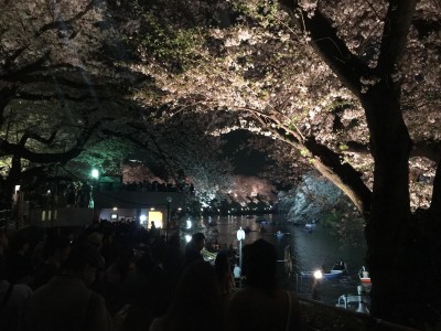 56942442_1989441777832150_5276455099382628352_o