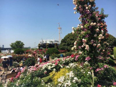 61190520_2063514017091592_3798986667386208256_o