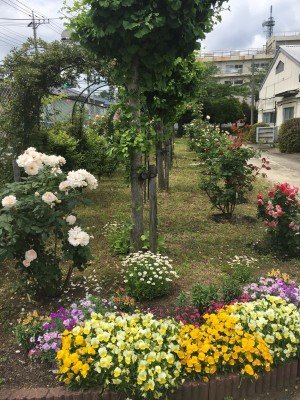 61349013_2062523143857346_8355719670182969344_o