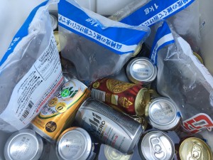 61460494_2068103926632601_9109390141759160320_o