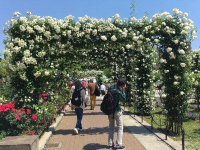 61706841_2063513840424943_1937322471480885248_o