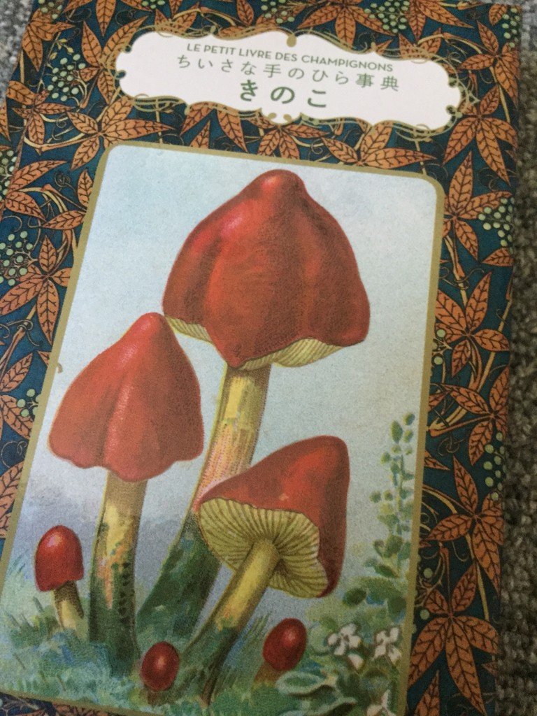 6603411B-0BED-4B22-B8B1-DC9A61A51772