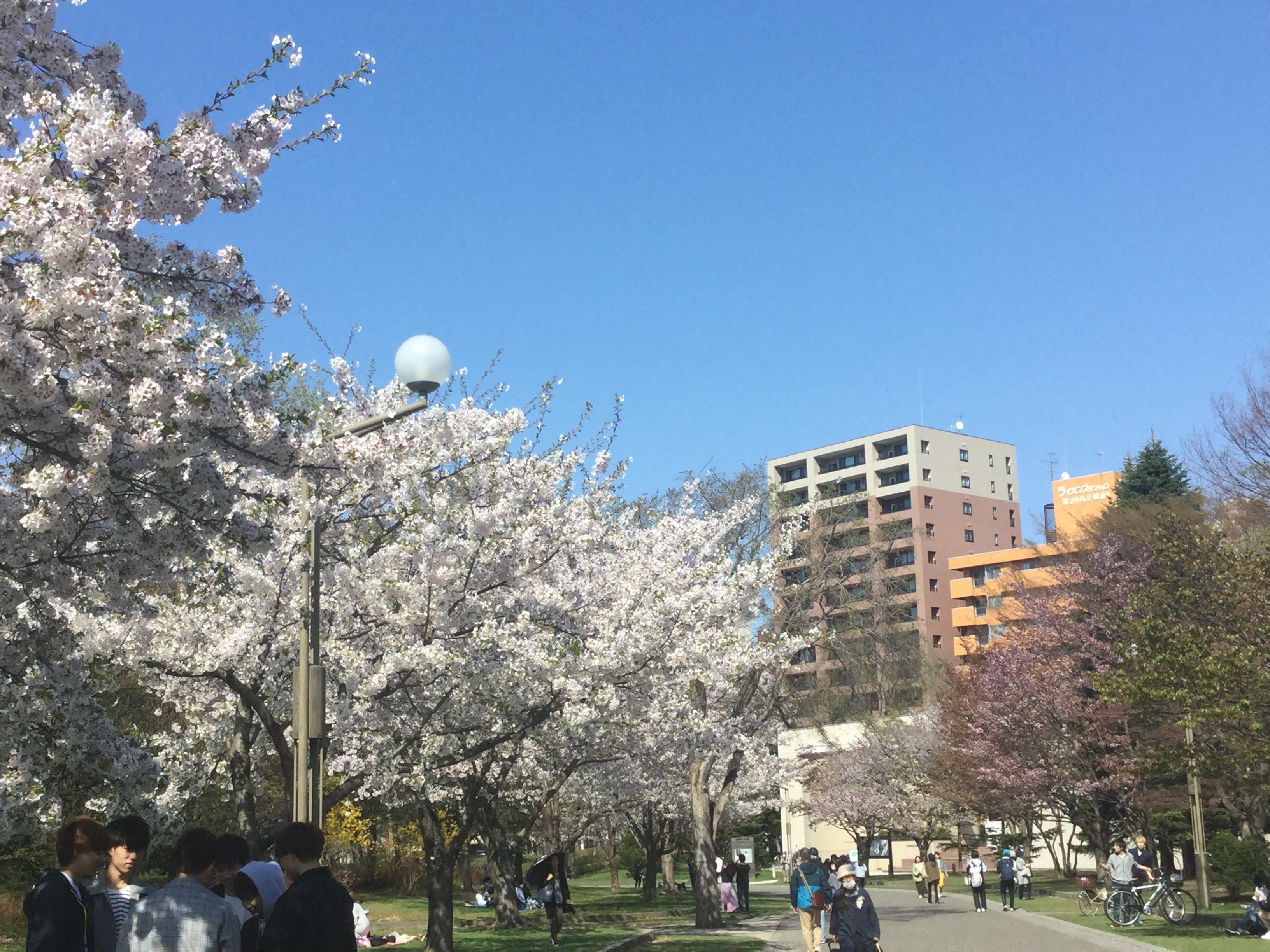 BABEB2FD-F736-47A4-AFE8-658A21EC2FC3