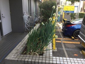 D6BDD4C9-0083-4D7A-9A49-1EC342B414FB