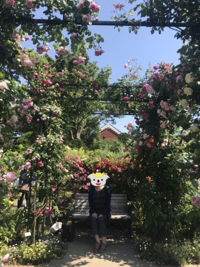 unnamed-1のコピー