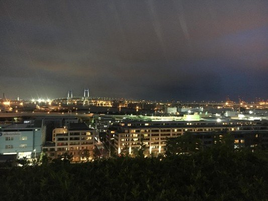 65319721_2113137198795940_2618112252896608256_o