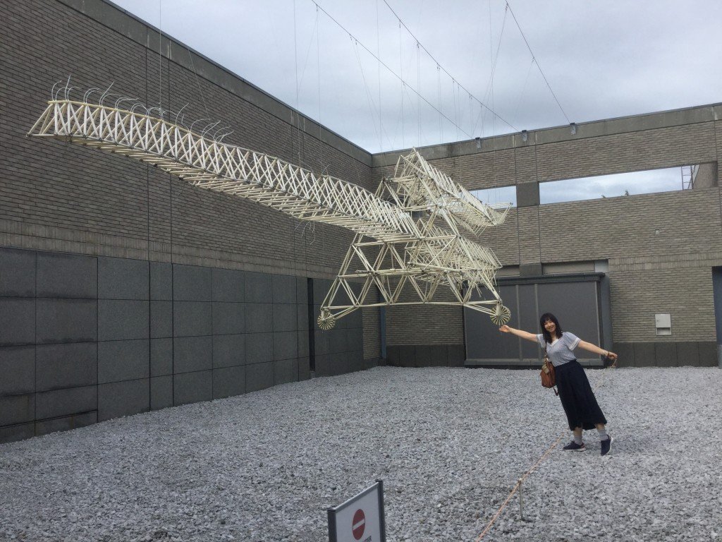 20190714_063728325_iOS