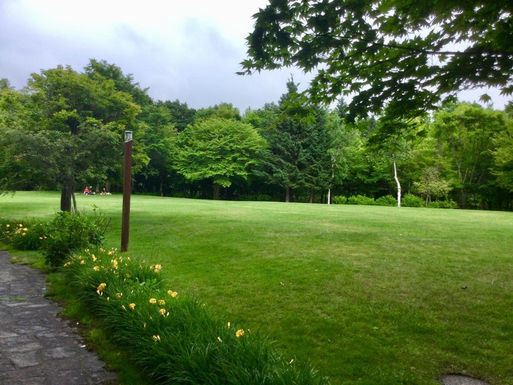 20190714_065735296_iOS