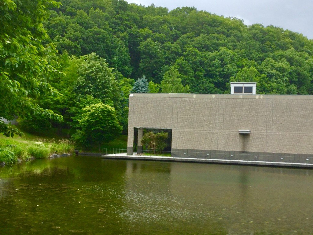 20190714_071159891_iOS