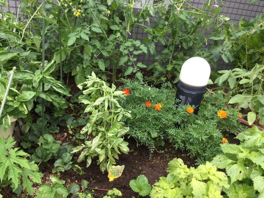 20190720_075609167_iOS