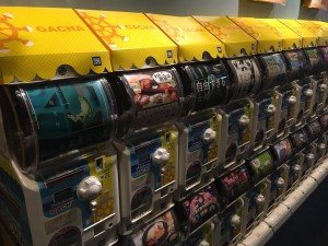 69590124_2217608588348800_8981993461775335424_o