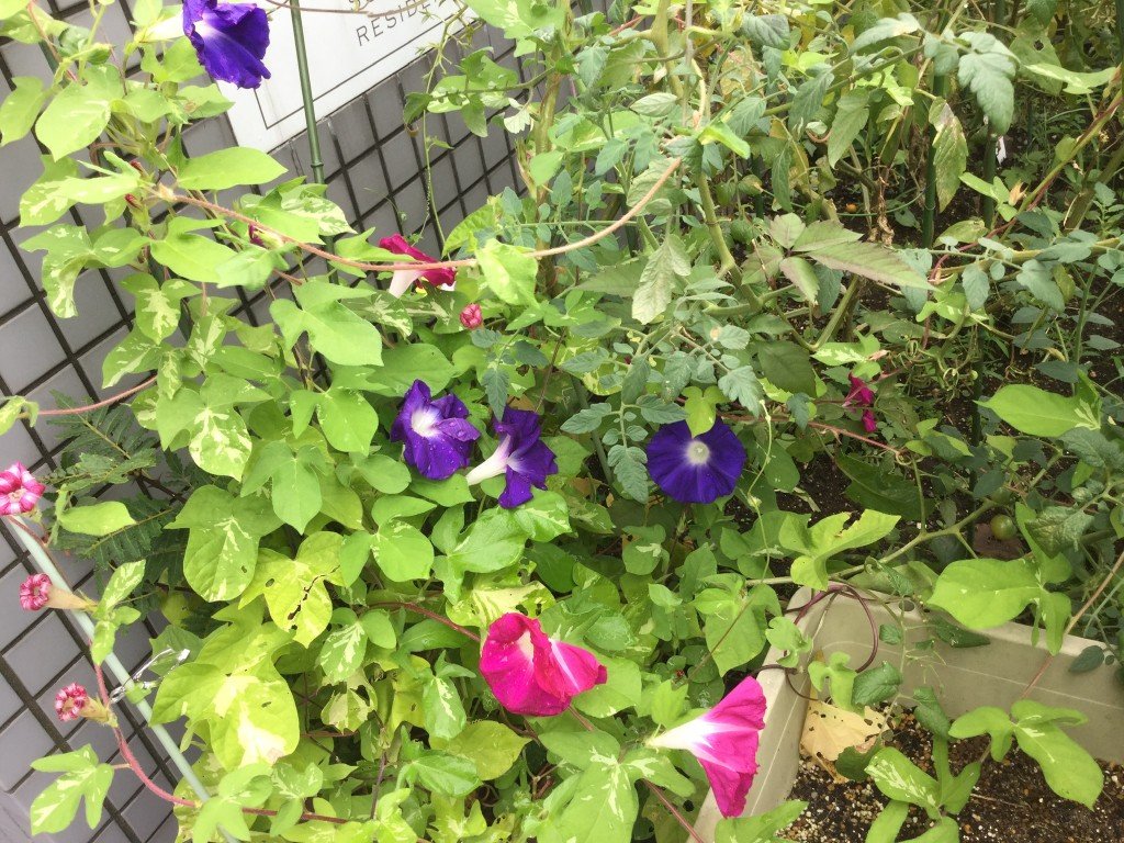 F053A3AA-ED40-4D9E-9217-DA6EA9981940