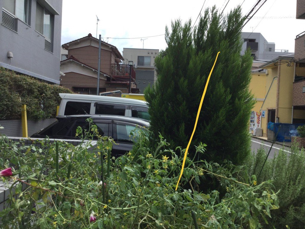 1E58A8B0-3374-4C94-A59E-B98F3562764C