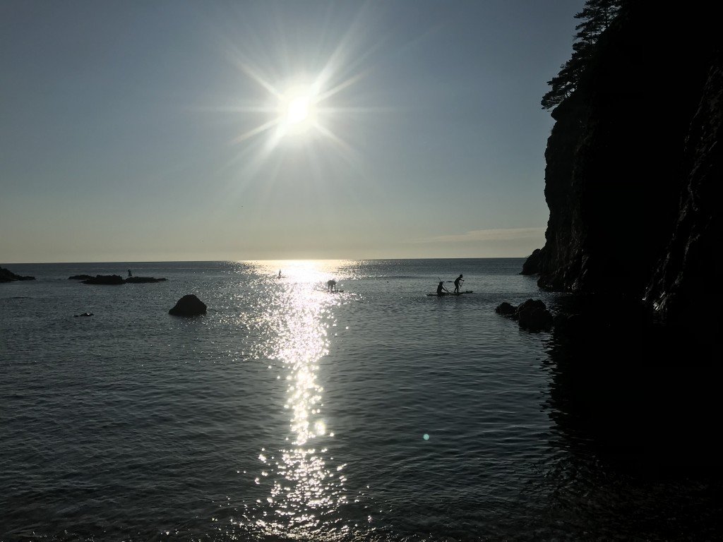 60CADD18-528B-4B91-AB51-D05BDE36B2EF