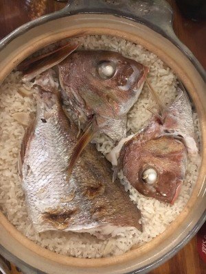 72428662_2275203885922603_6435409710190428160_o