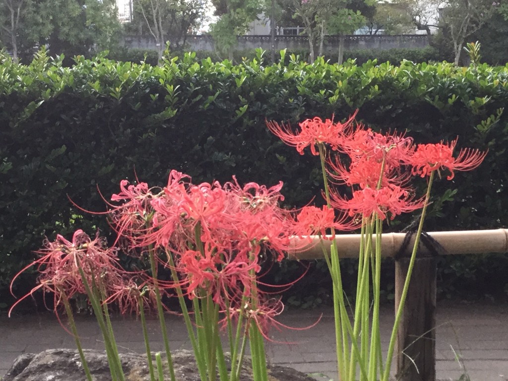 DCFA52B8-A586-4453-9C4E-AD967DC19354