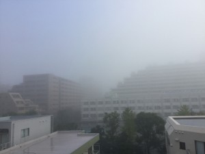 1E433B47-50FE-4308-933E-C4B70ECA9759