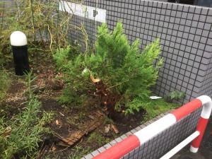 6AE16C53-516F-441D-A09D-1862BAB6F4FC