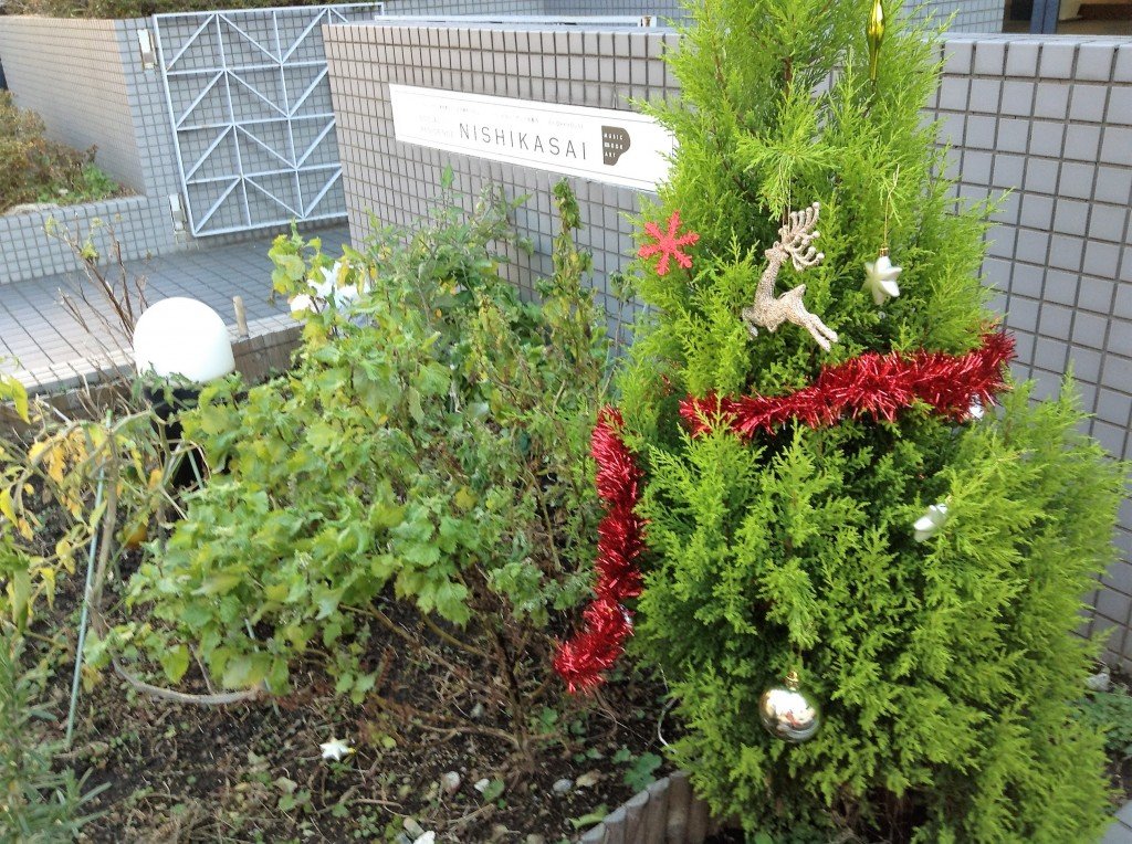 6D9AE37C-271B-4157-8691-6674DEDA0226