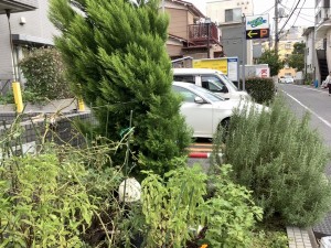 F556E37B-7DDA-4C78-AC9B-8E329254DBEC