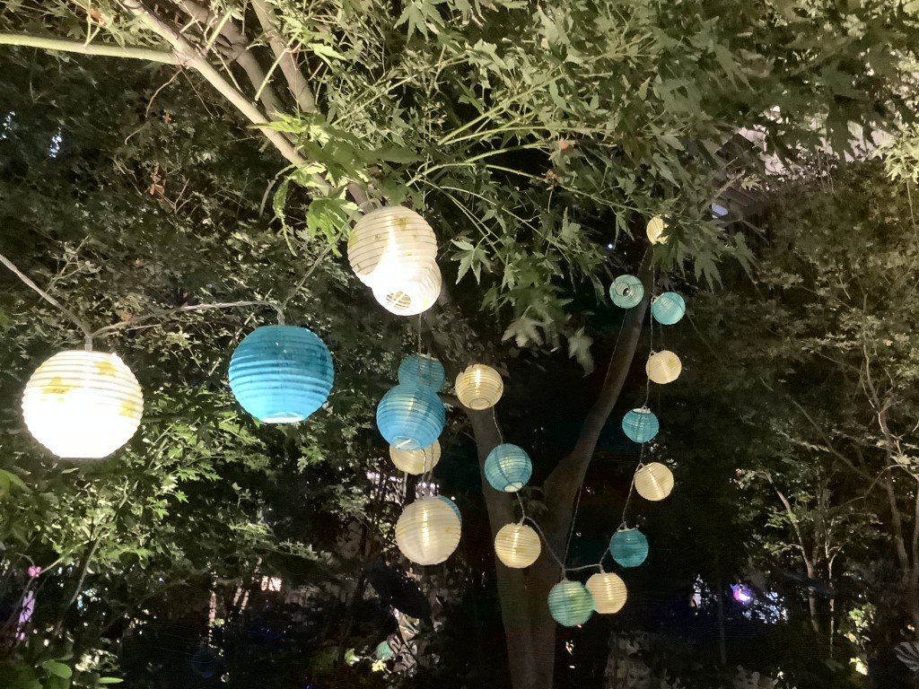 F083AB99-EC0D-4B9D-9576-EE2EC6B339E3