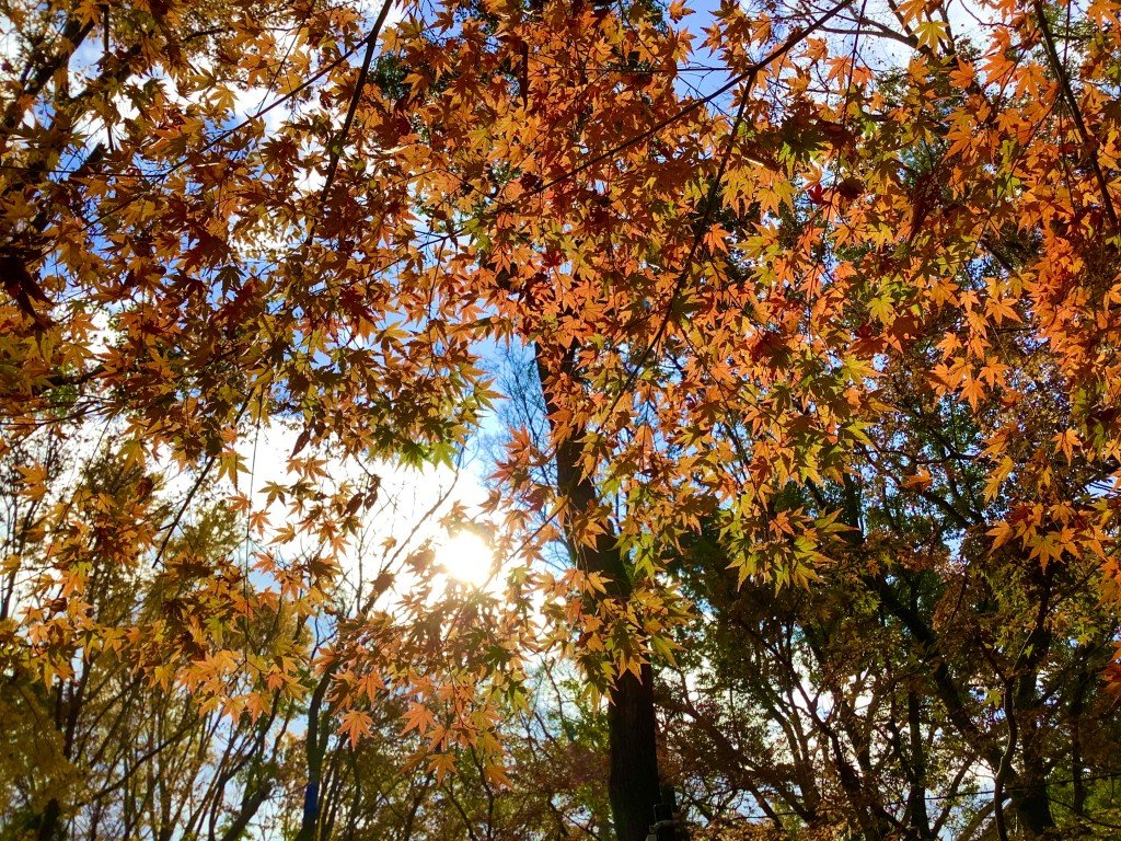 0E80C2D6-9BE1-41F3-97CA-80E8163B132F