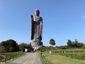 17180E72-BD91-4D71-A34B-5516ADDD2EF1