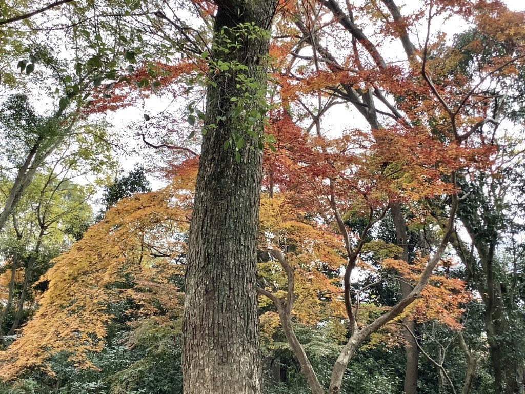 22E09A03-F964-4A20-B2A2-D78415364C3E