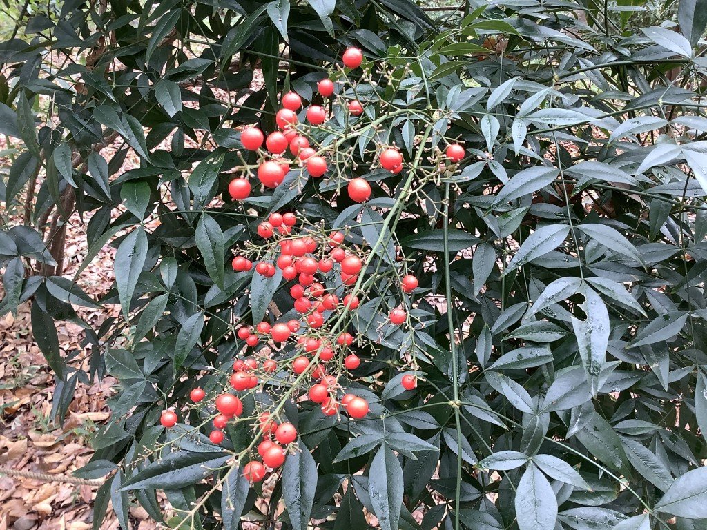 86BD431B-60B4-4FE5-A24A-B2999BF063C8