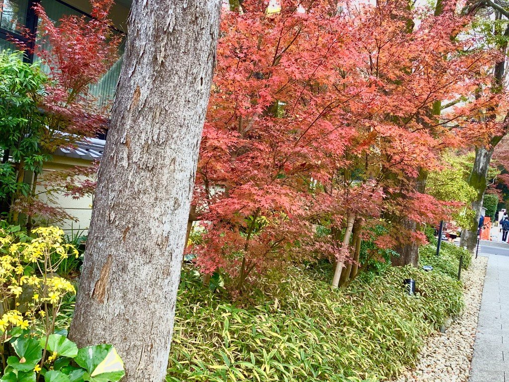 BDA09450-3D5F-4D21-B6CB-95478FB5E27D