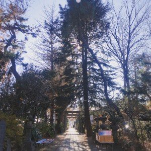 CD86BF82-D945-4F52-84FB-D8FD0C89D522