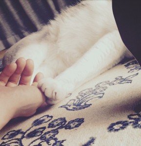 CD62514C-113B-42FE-A17A-55C7125D346B