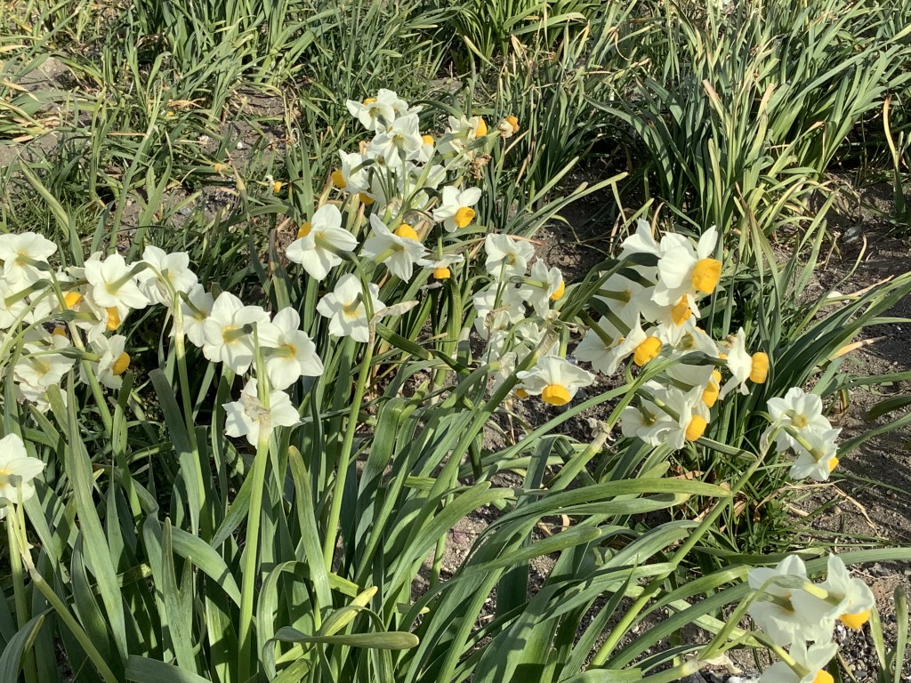 0F7E81E7-1CC2-43BD-8B47-02DD70CE594F