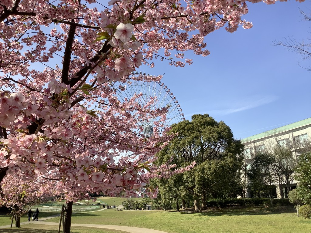 EA527226-497E-4E68-860E-FDEAF627E94C