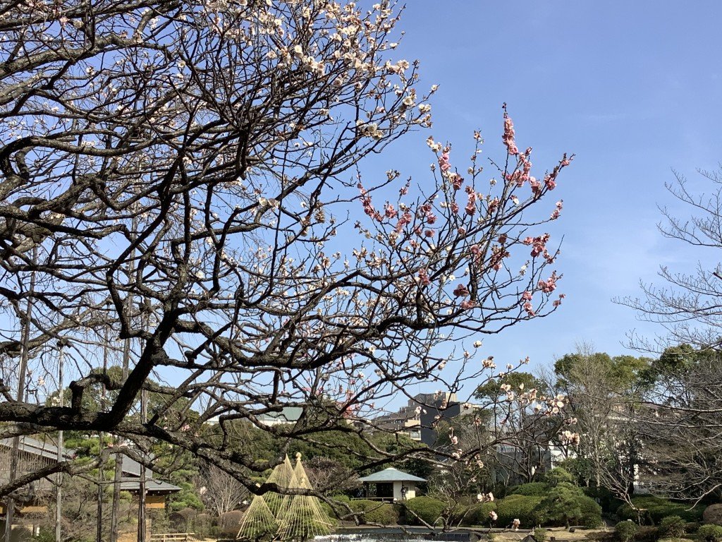 0B2E2CB5-DC1C-46F7-A0B2-18D18194B21A