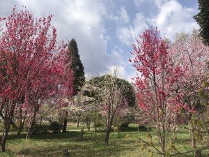 263AE1A5-640B-4A2B-AF80-F7CFDB6AE53C