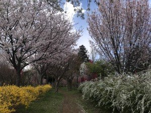 29A33EAC-D75F-4E73-A8C9-F4581029A7F4