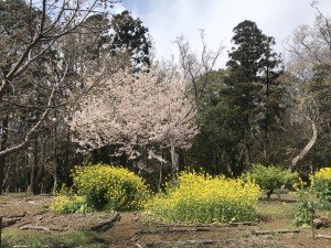 6D9296CF-3D50-40BE-8FCD-02DD520E5A95